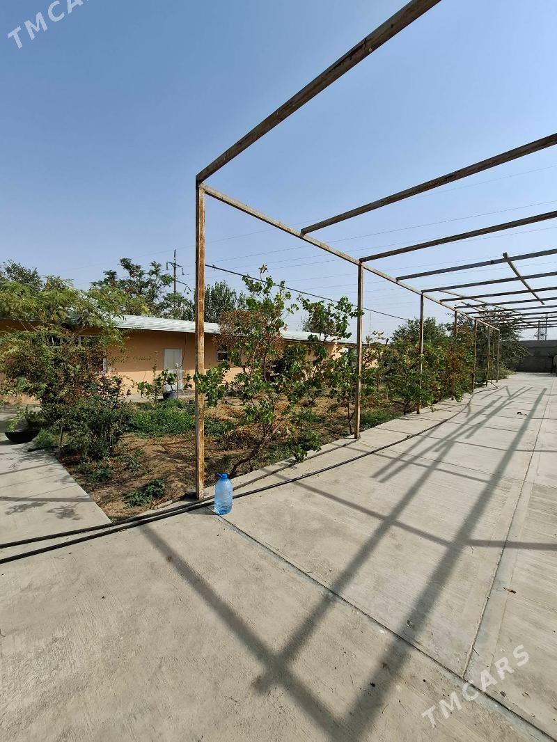 Satlyk daca - Ашхабад - img 3