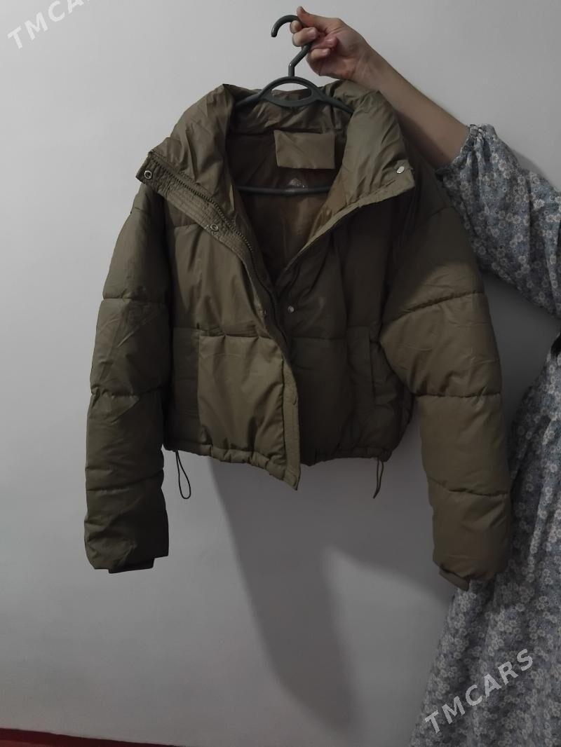 kelte kurtka - Daşoguz - img 1