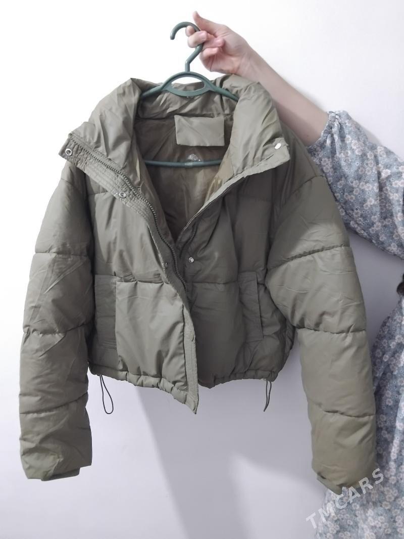 kelte kurtka - Daşoguz - img 3