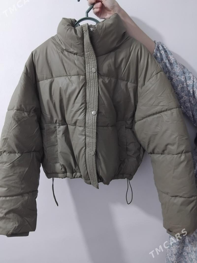 kelte kurtka - Daşoguz - img 5