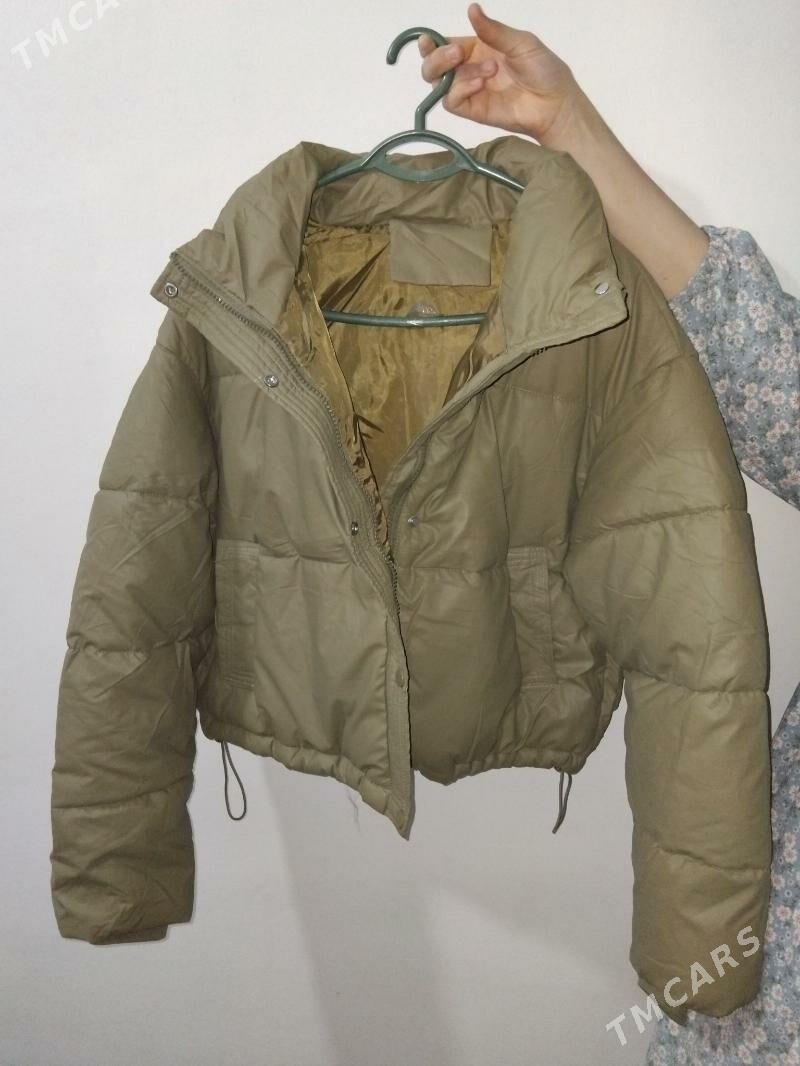 kelte kurtka - Daşoguz - img 4