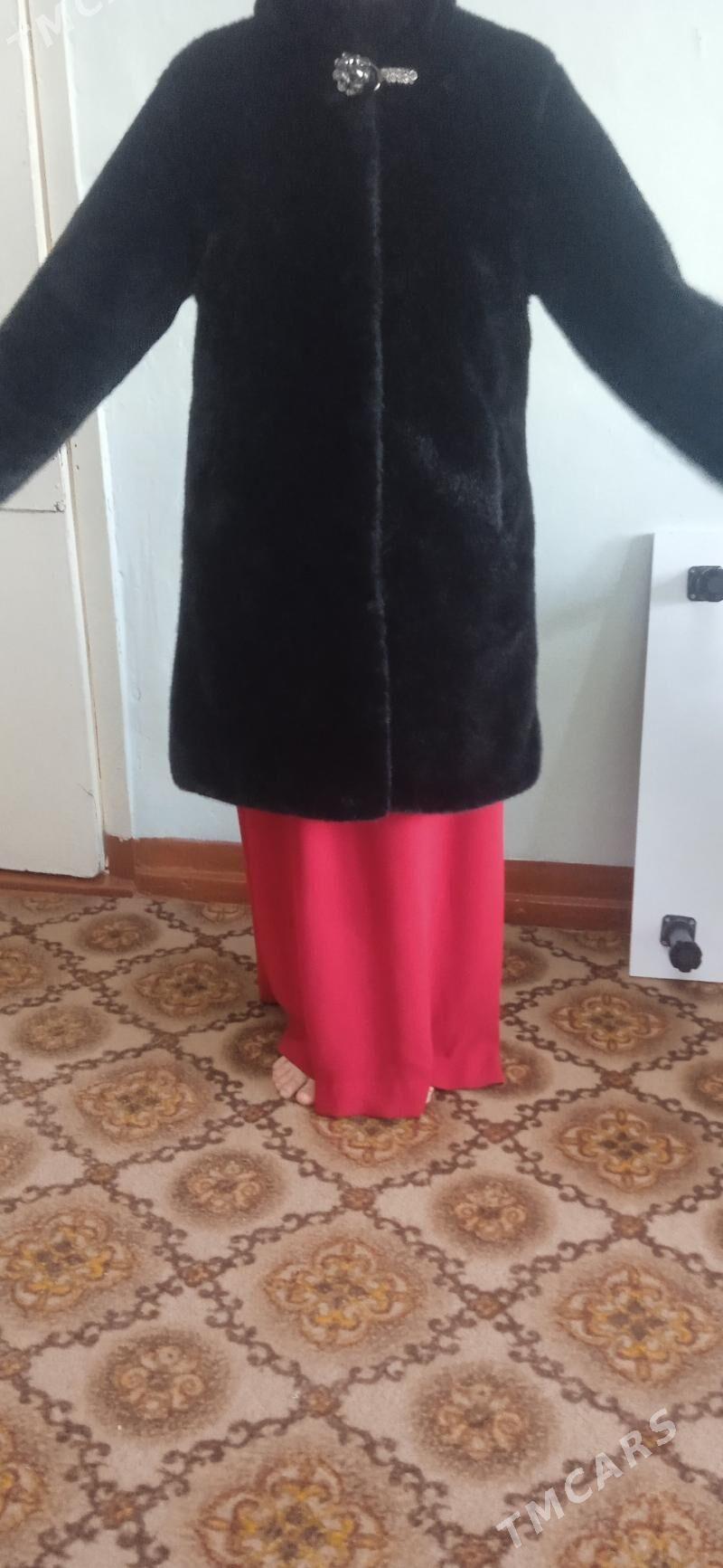 Şuba - Дашогуз - img 2