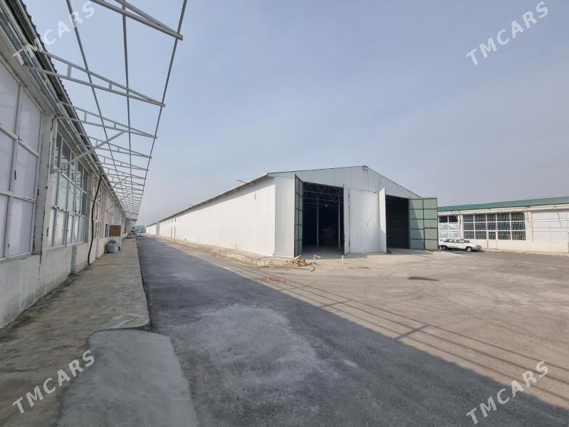 Arenda ammar Rysgally Mekan - Änew - img 4