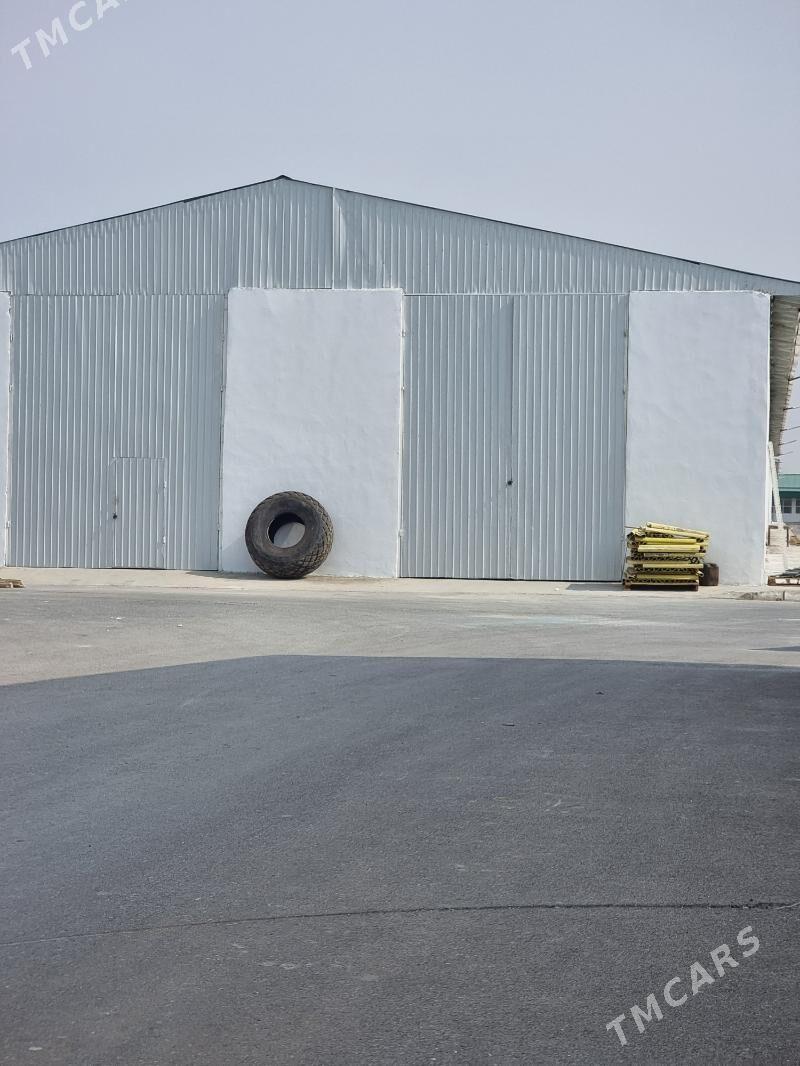 Arenda ammar Rysgally Mekan - Änew - img 5