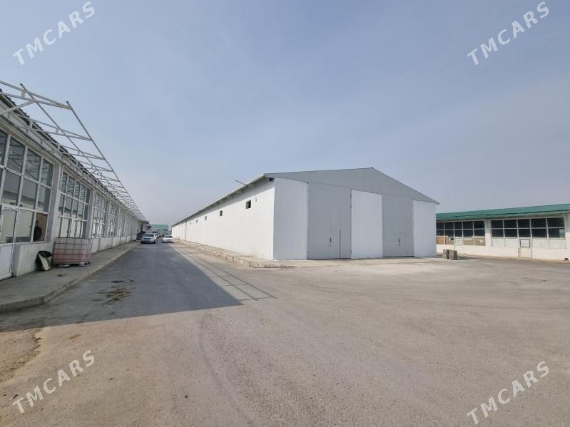 Arenda ammar Rysgally Mekan - Änew - img 3