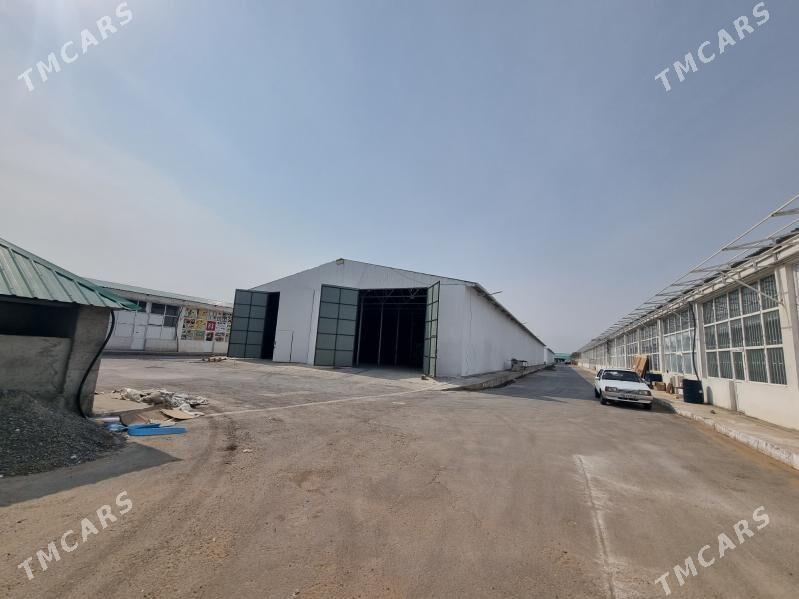 Arenda ammar Rysgally Mekan - Änew - img 6