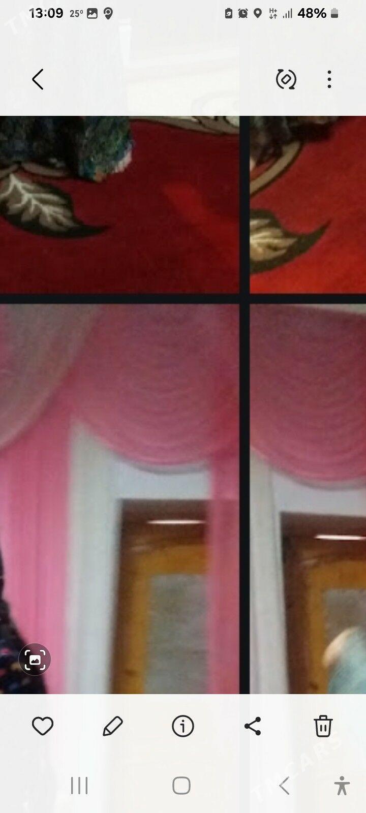 перделер - Шабатский этрап - img 1