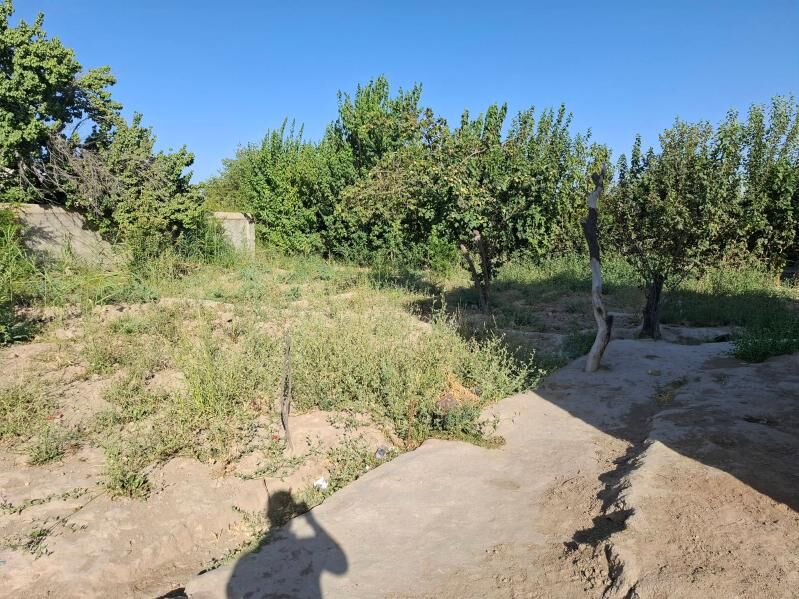 satlyk daca - Mary - img 10