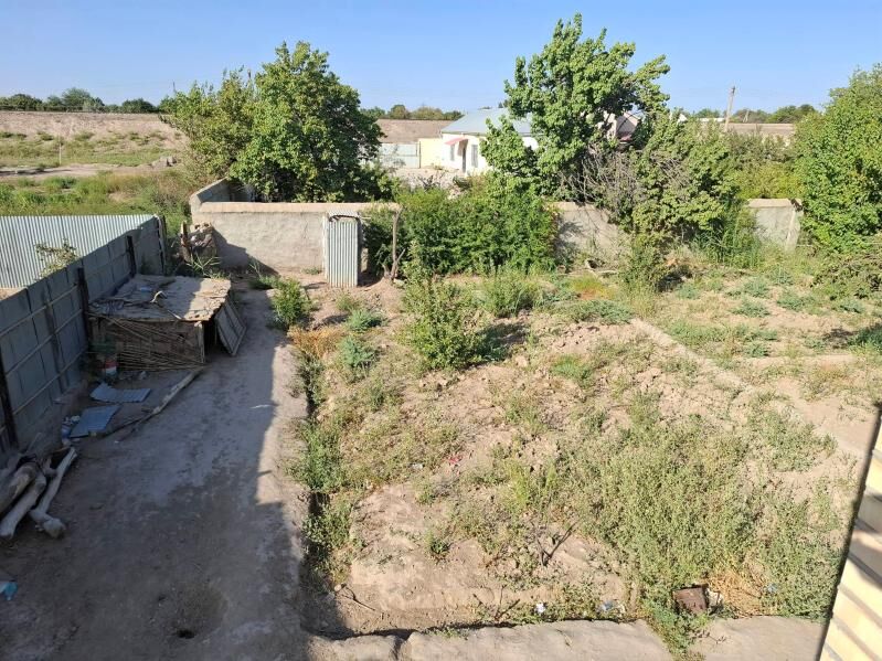 satlyk daca - Mary - img 6