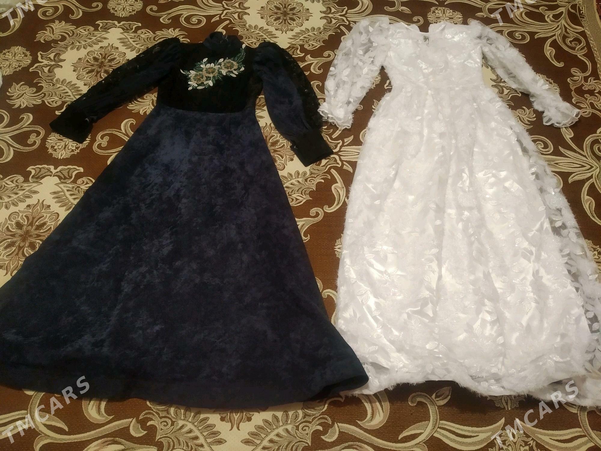 koynekler - Kaka - img 1