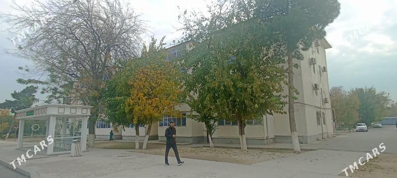 SATLYK JAY 11MK - 11 mkr - img 2