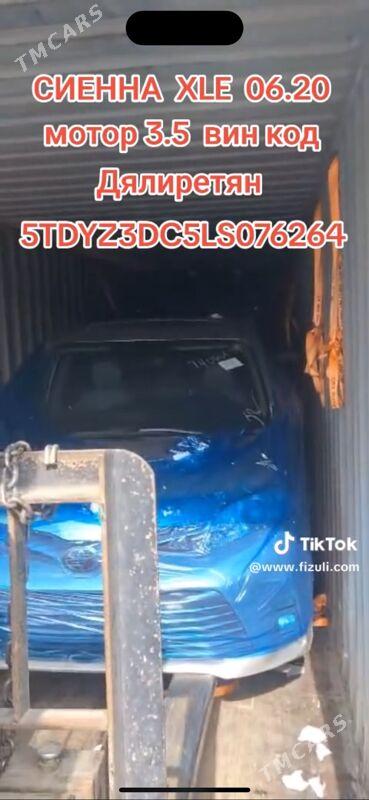 Toyota Sienna 2020 - 550 000 TMT - Ашхабад - img 1