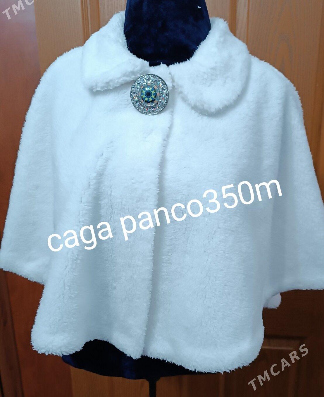 tikincilik - Ашхабад - img 10