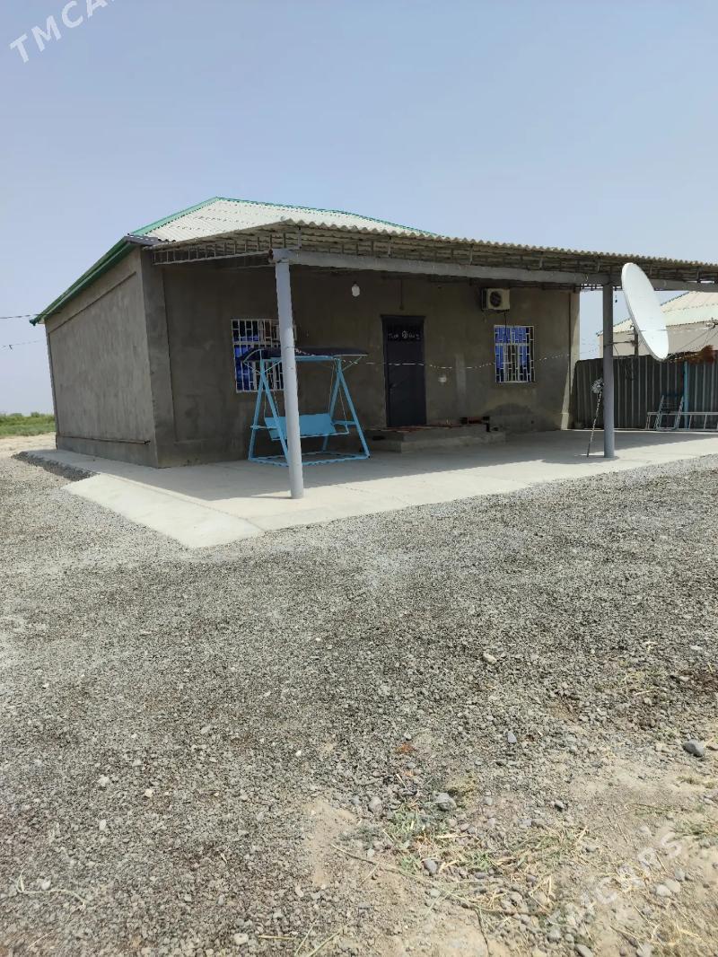 SATLYK 3KOM PLAN  38OBASY - Änew - img 1