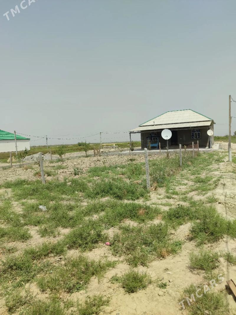 SATLYK 3KOM PLAN  38OBASY - Änew - img 2