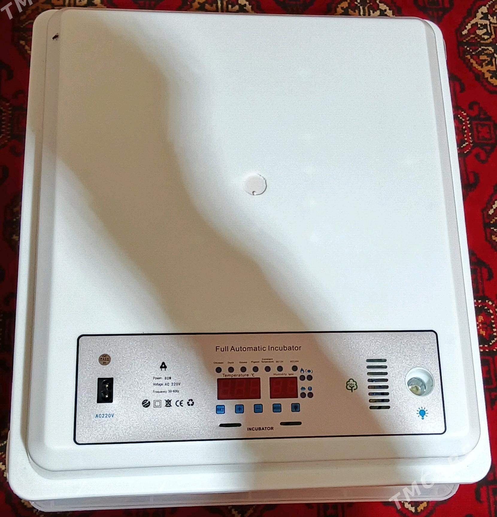 Inkobator - Türkmenbaşy etr. - img 2