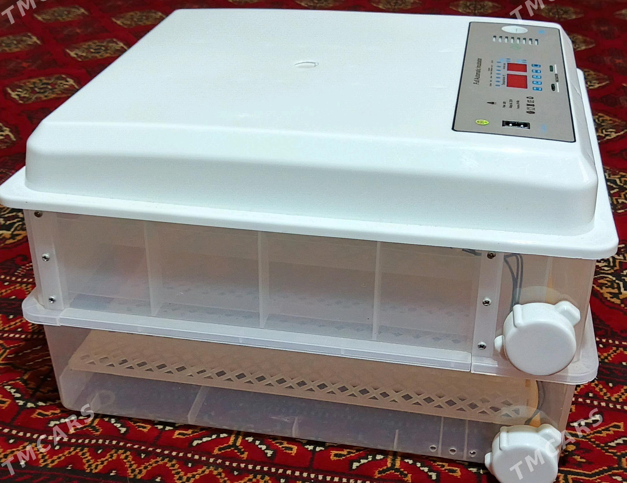 Inkobator - Türkmenbaşy etr. - img 1