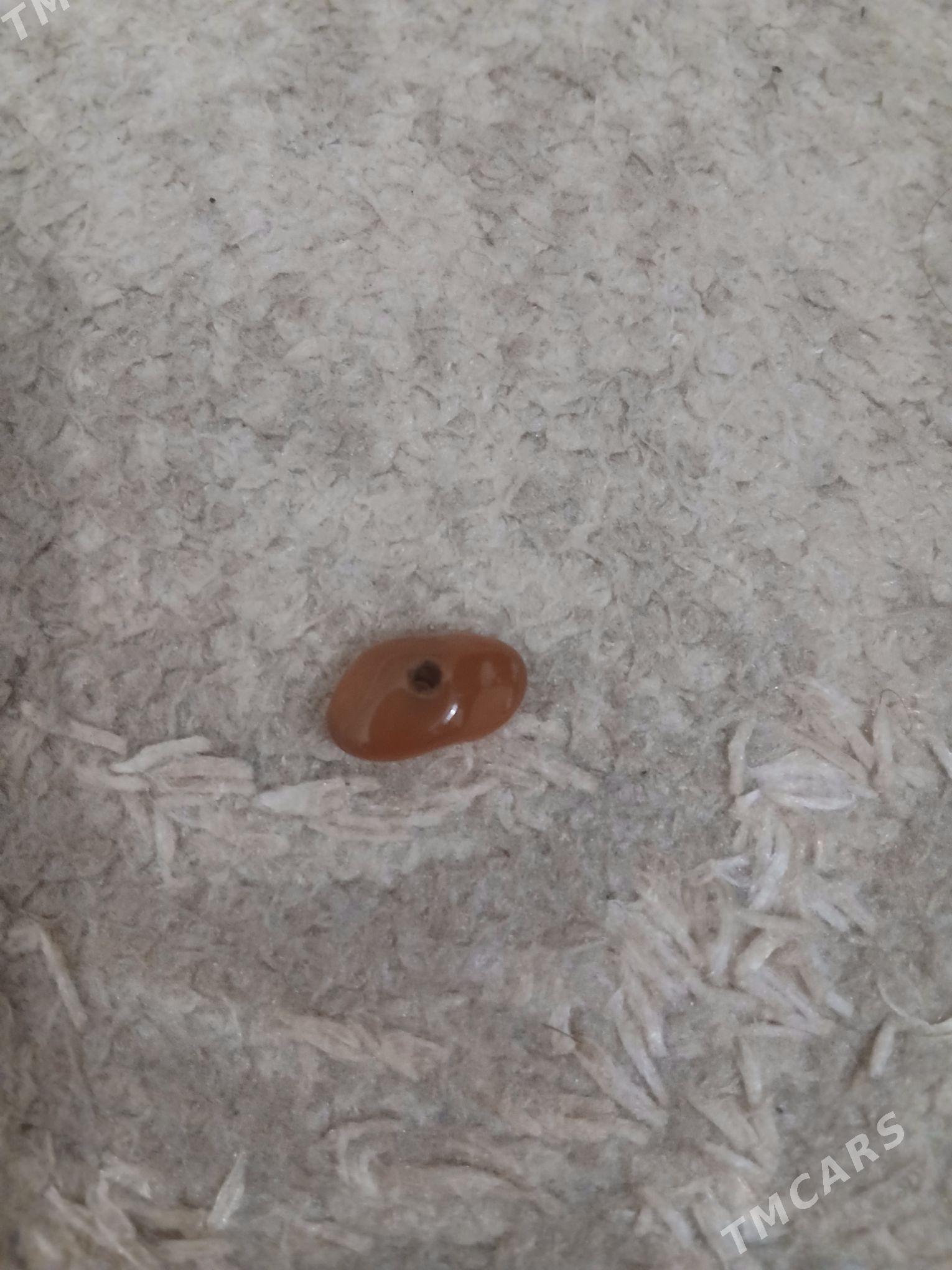 Almonjyk - ул. Подвойского (Битарап Туркменистан шаёлы) - img 2