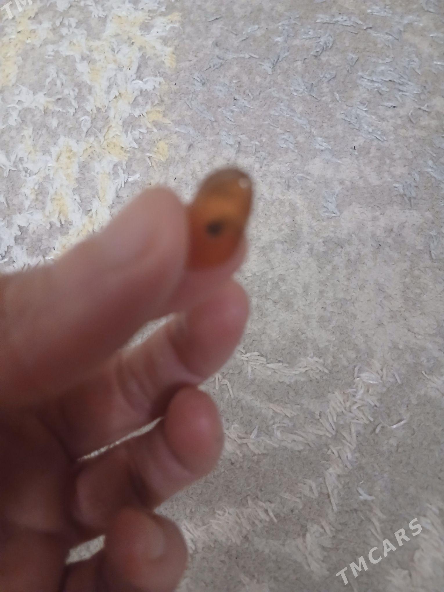 Almonjyk - ул. Подвойского (Битарап Туркменистан шаёлы) - img 3