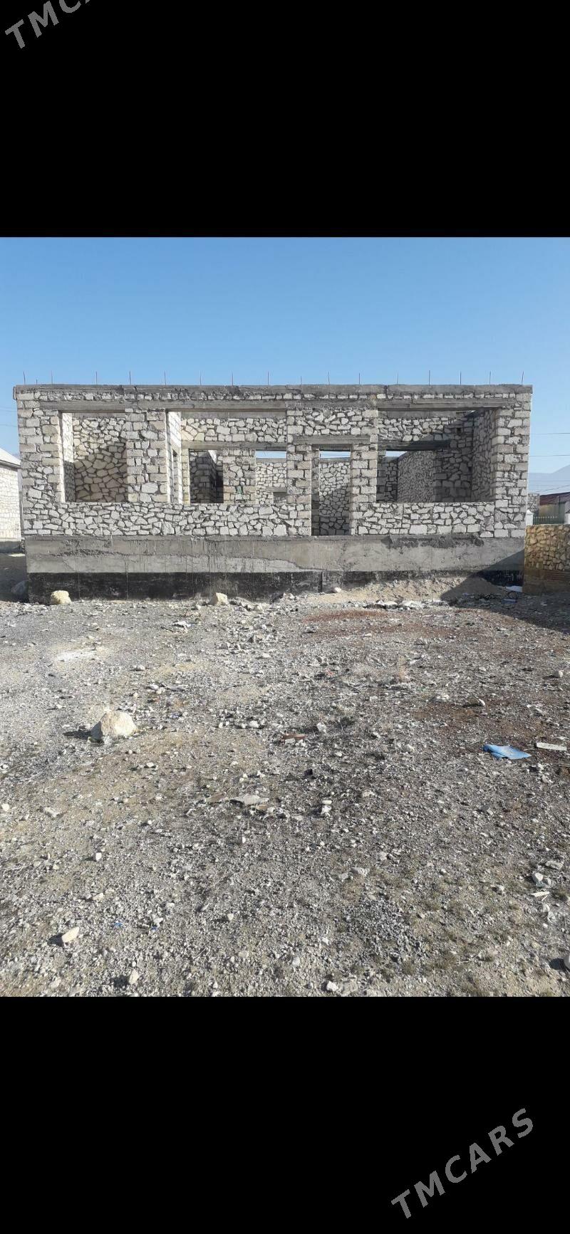 Boyy yetirilen uly jay - Balkanabat - img 2