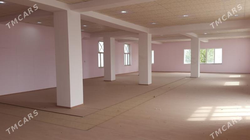 KärendeJaýMagazyOfisBedev - Бедев - img 10