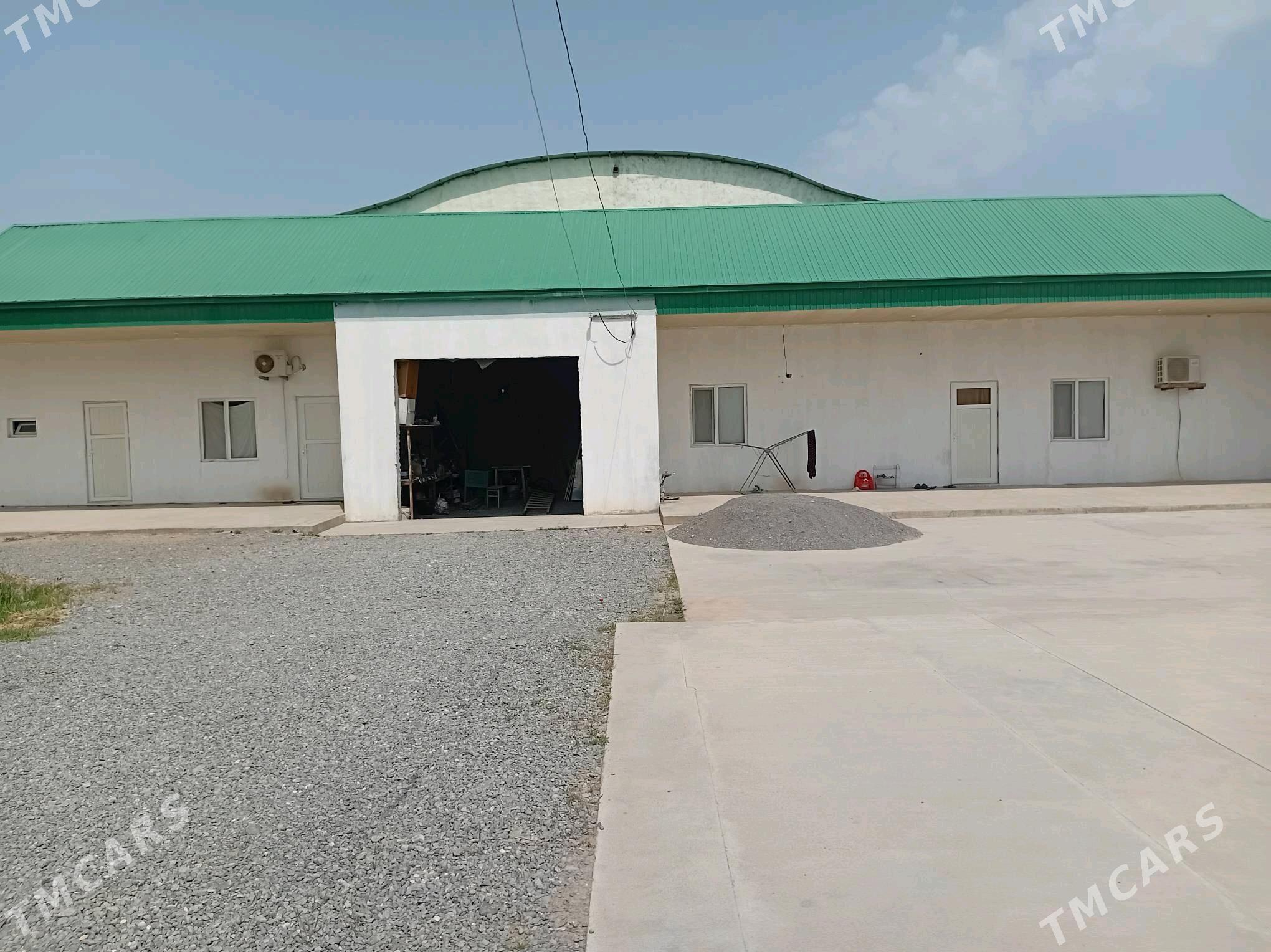 Kŏne gami satlyk - Ак-Бугдайский этрап - img 3