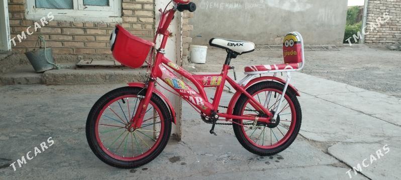 tigir - Tejen - img 1