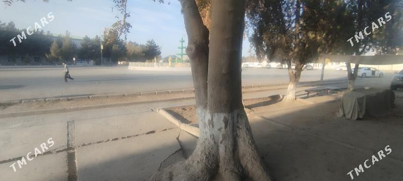 arenda bos yer - Sakarçäge - img 4