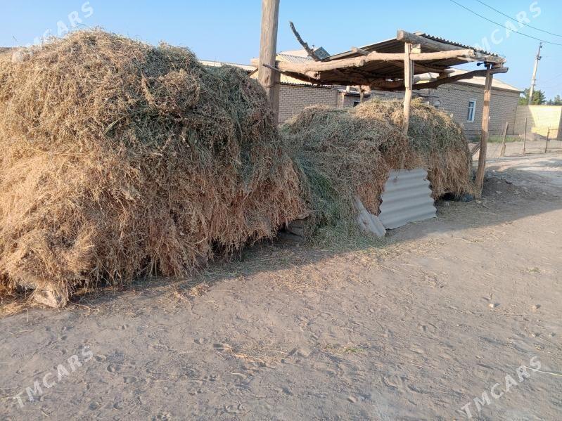 yorunja - Мары - img 3