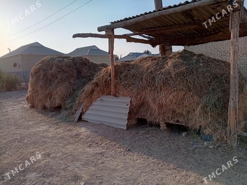 yorunja - Мары - img 2