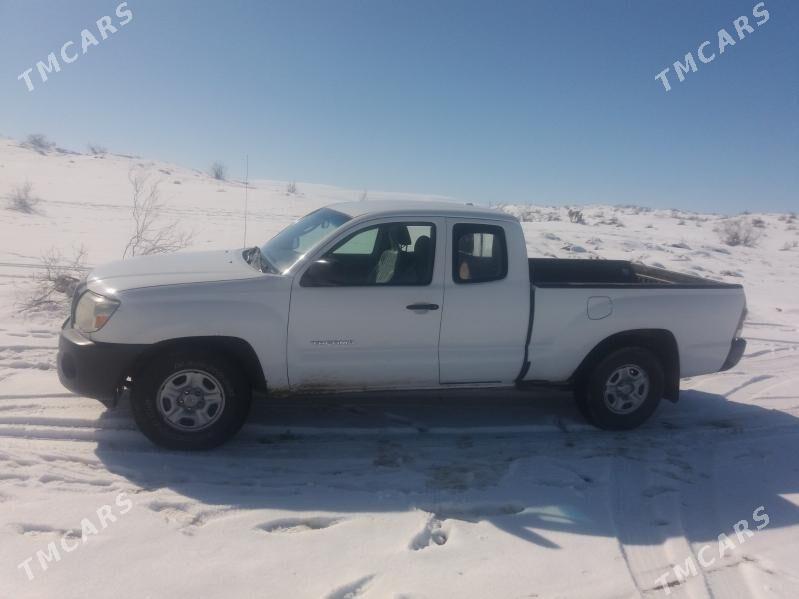 Toyota Tacoma 2008 - 170 000 TMT - Tagtabazar - img 2