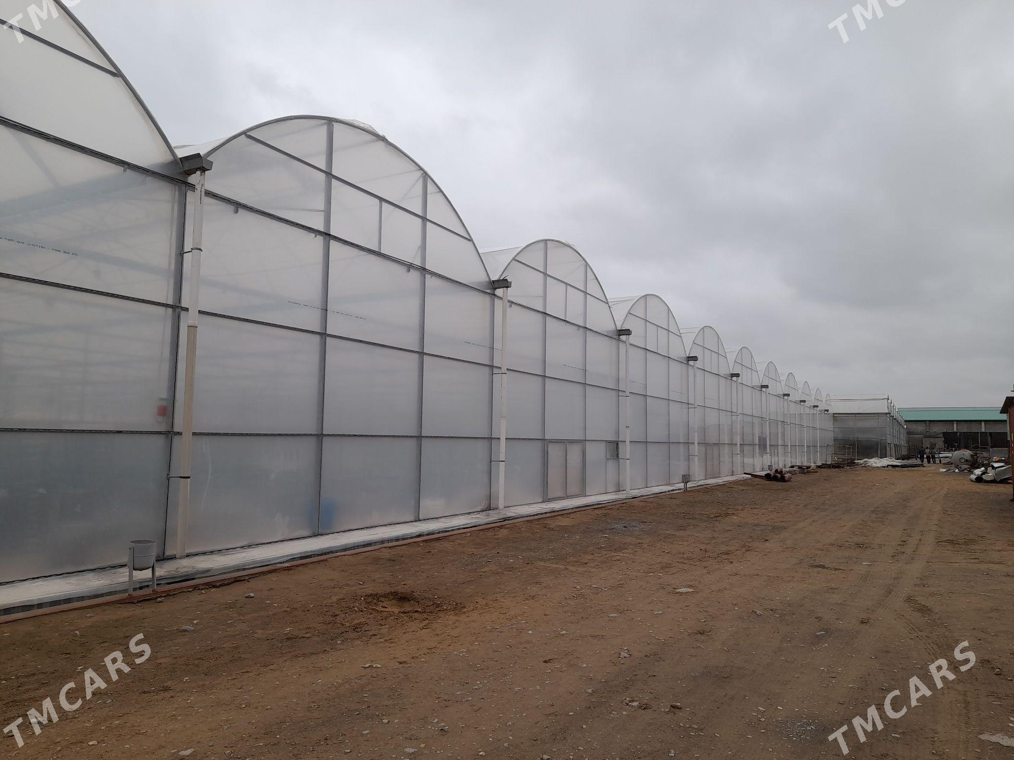 Isgar oglan gerek - Änew - img 3