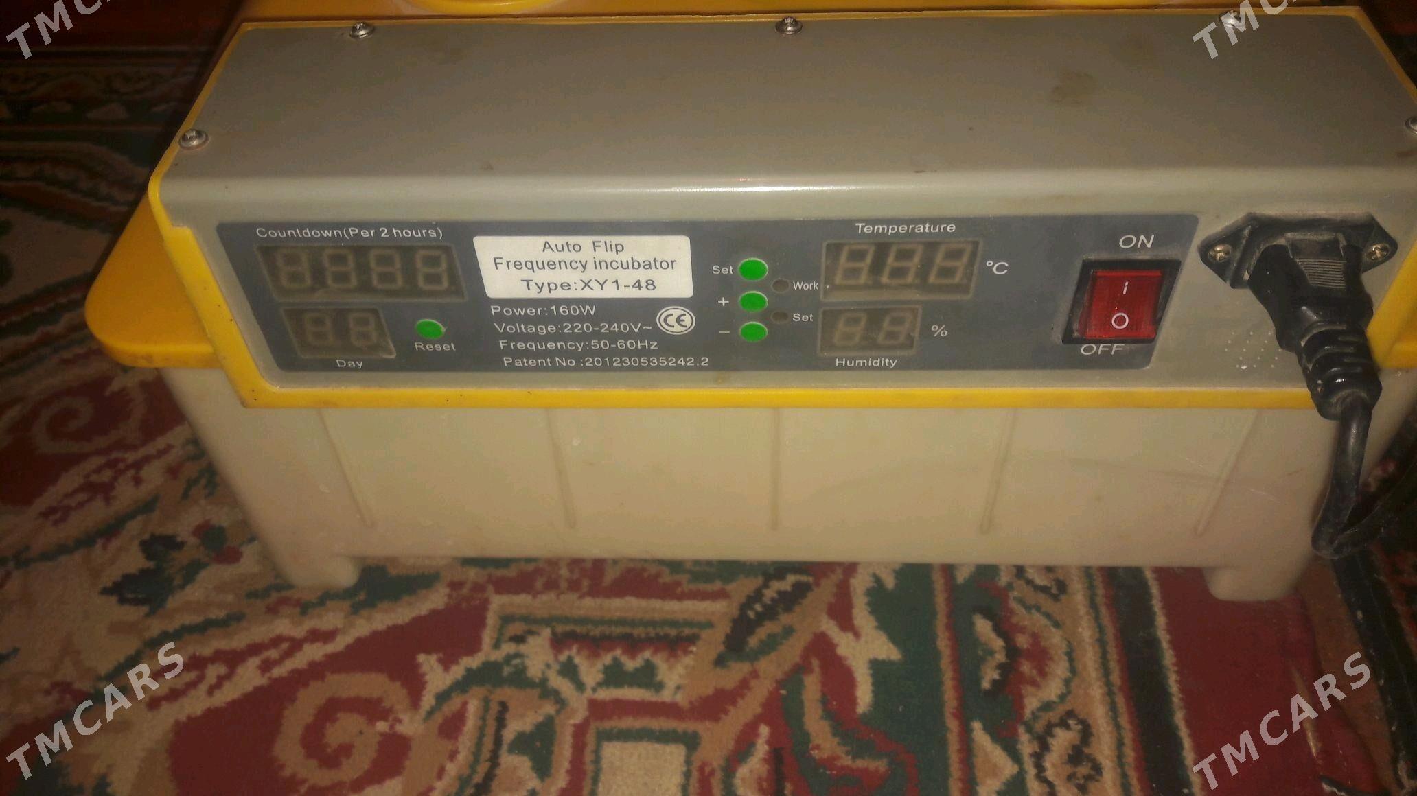 Inkowator - Köneürgenç - img 1