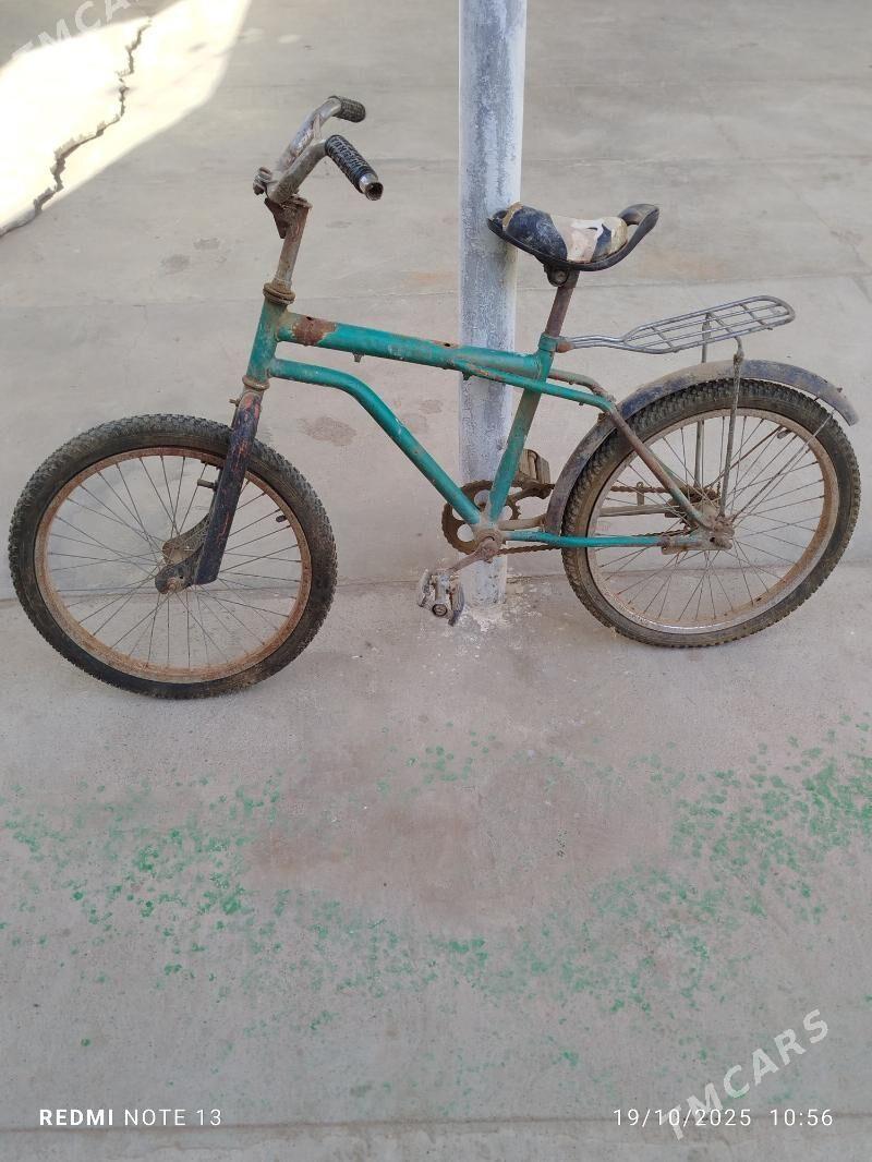 tigir - Херрикгала - img 2