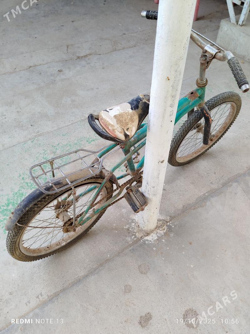 tigir - Херрикгала - img 4