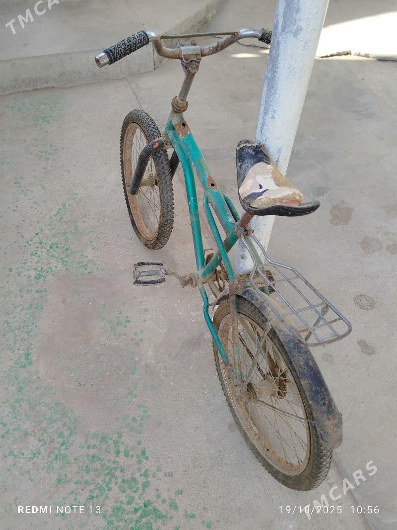 tigir - Херрикгала - img 5