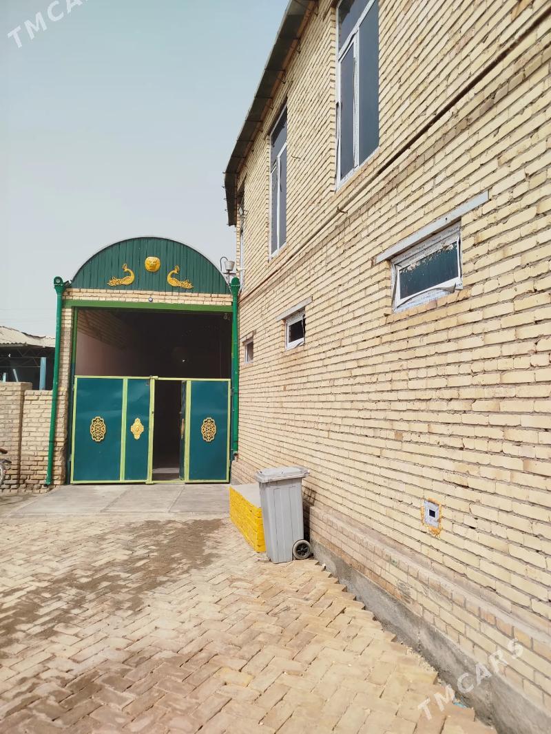 polu elitka jaylar HALAC - Halaç - img 8