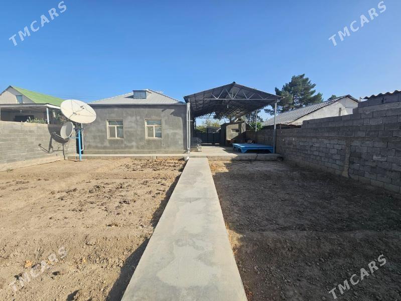 Anew ZBI Daca - Анев - img 4