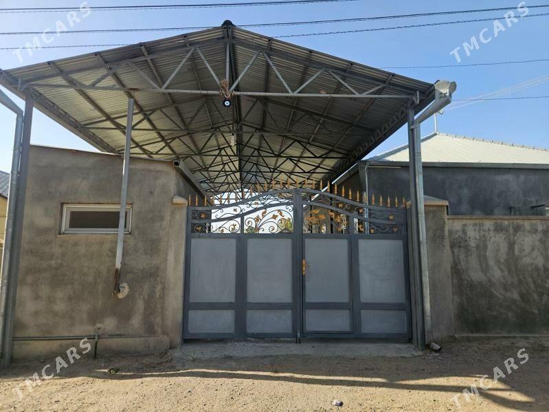 Anew ZBI Daca - Анев - img 1