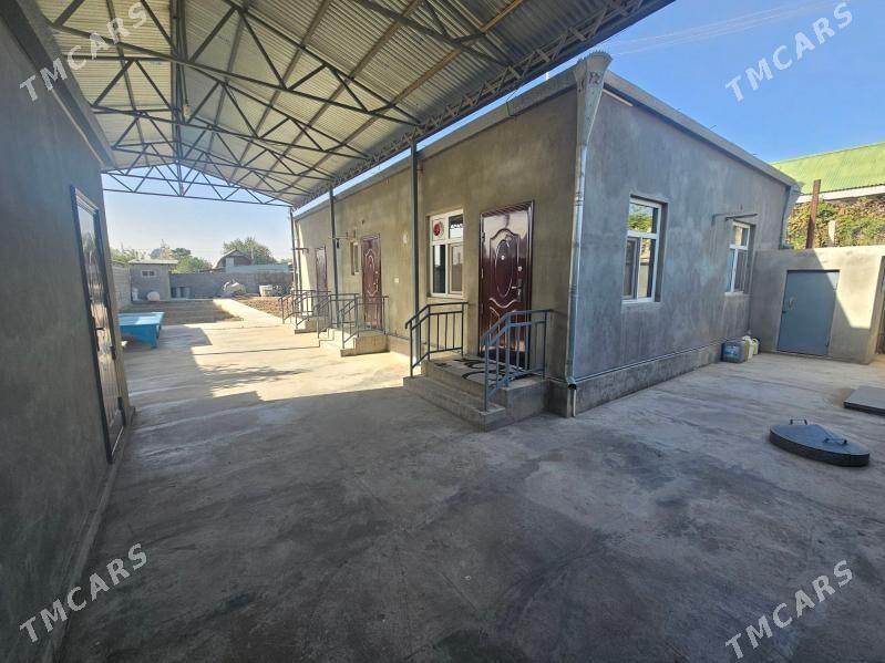 Anew ZBI Daca - Анев - img 3