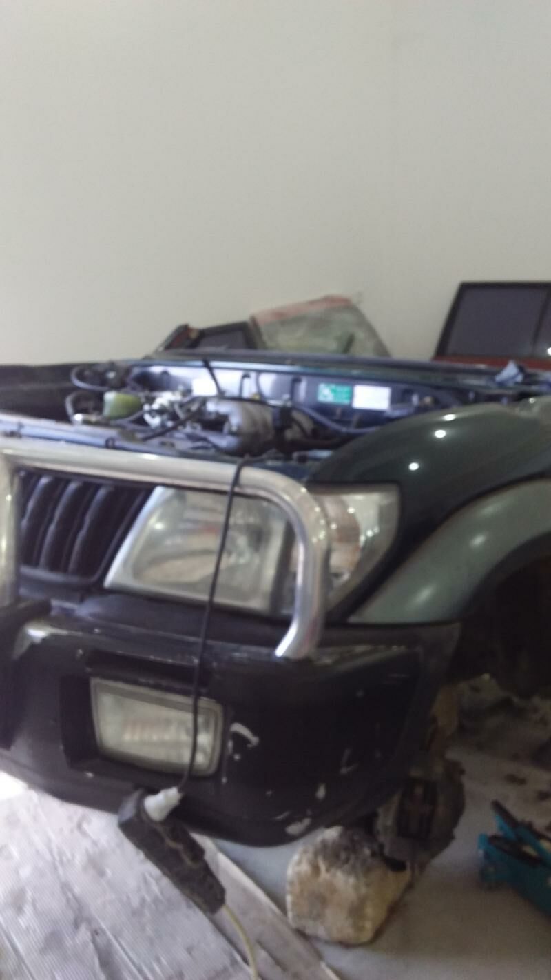 Prado morda. 20 000 TMT - Balkanabat - img 1