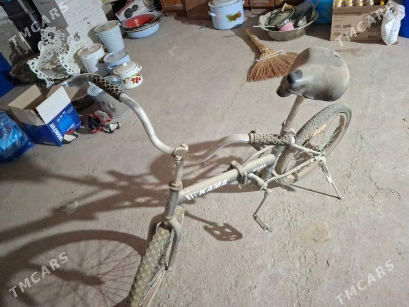 kama - Çoganly - img 2