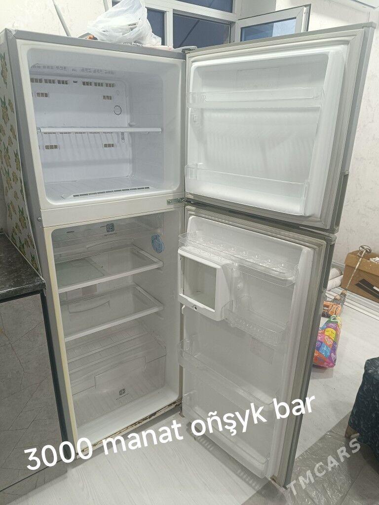 holodelnik - Türkmenbaşy - img 3