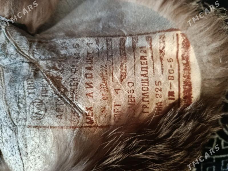 Шкура shkura - Ашхабад - img 2