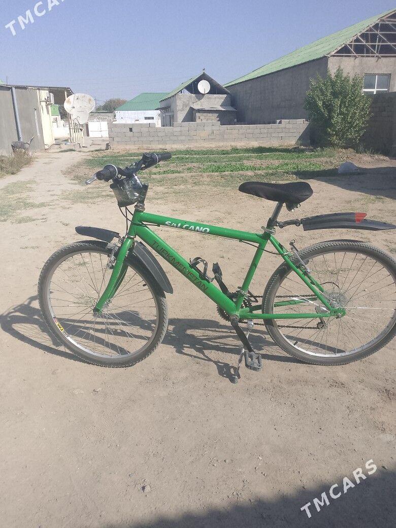 tigir - Багир - img 2