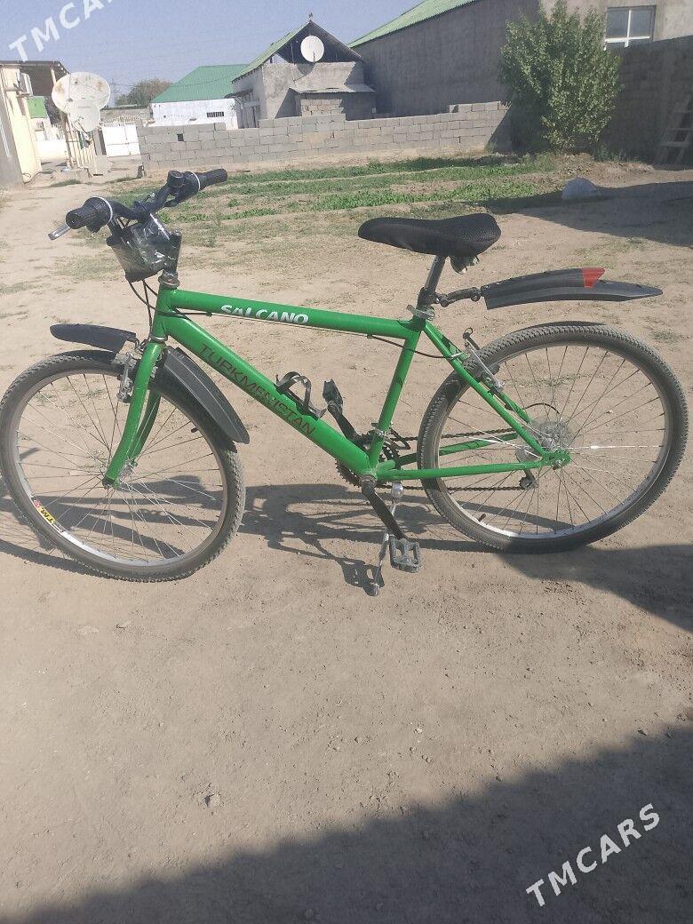 tigir - Багир - img 3