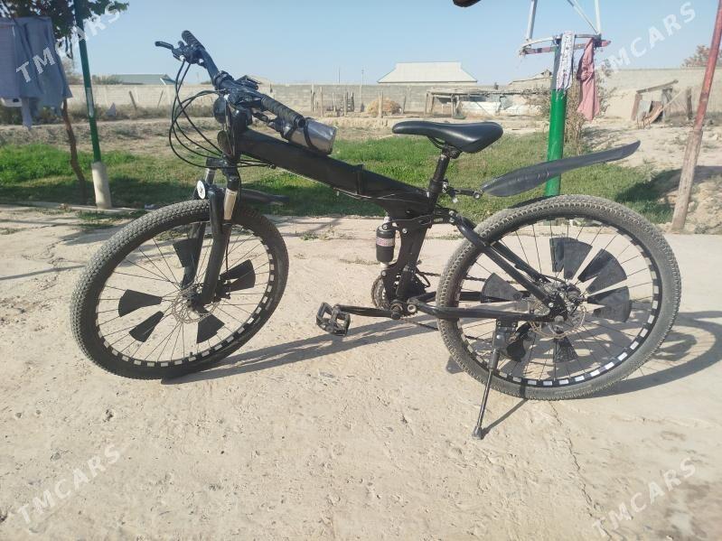 TİGİR - Kaka - img 2