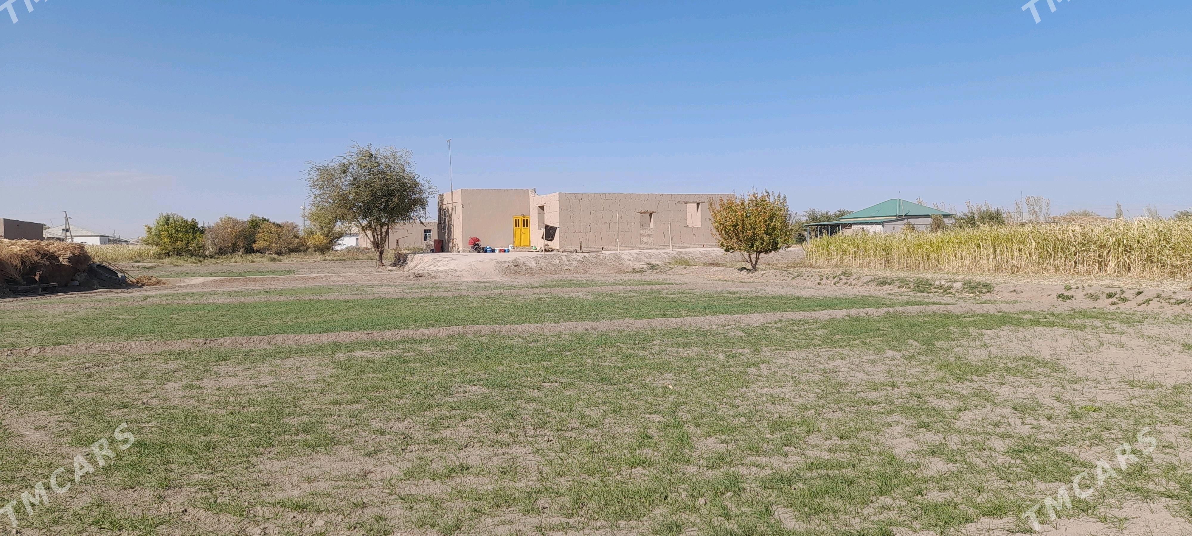 plan jaÿ - Гороглы (Тагта) - img 2