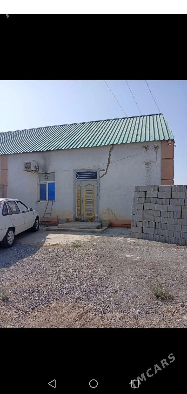 Jay coganly - Aşgabat - img 8