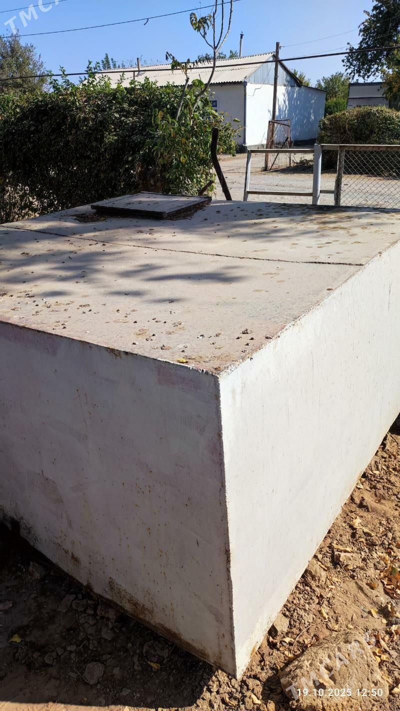 bocka - Tejen - img 2